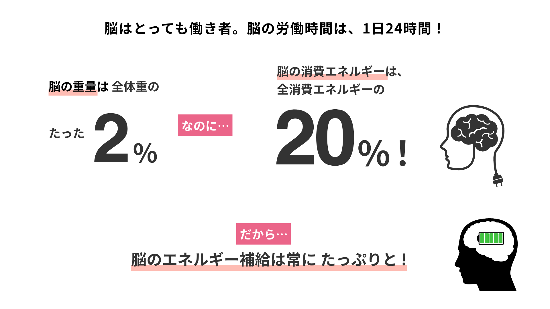 脳はとっても働き者 脳の労働時間は、1日24時間！