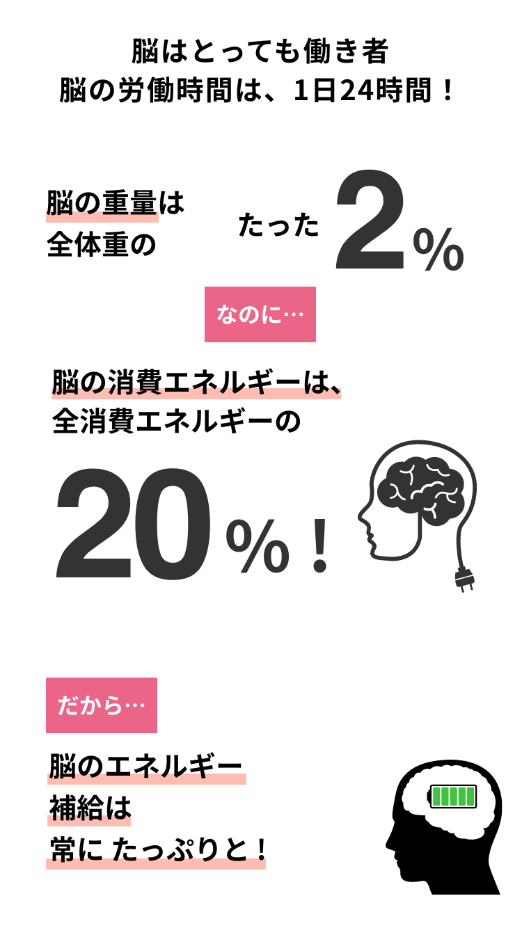 脳はとっても働き者 脳の労働時間は、1日24時間！