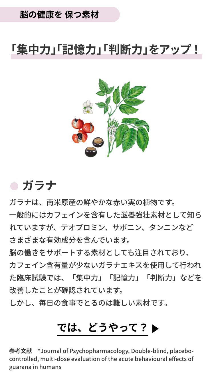 脳の健康を保つ素材　ガラナ：「集中力」「記憶力」「判断力」をアップ！