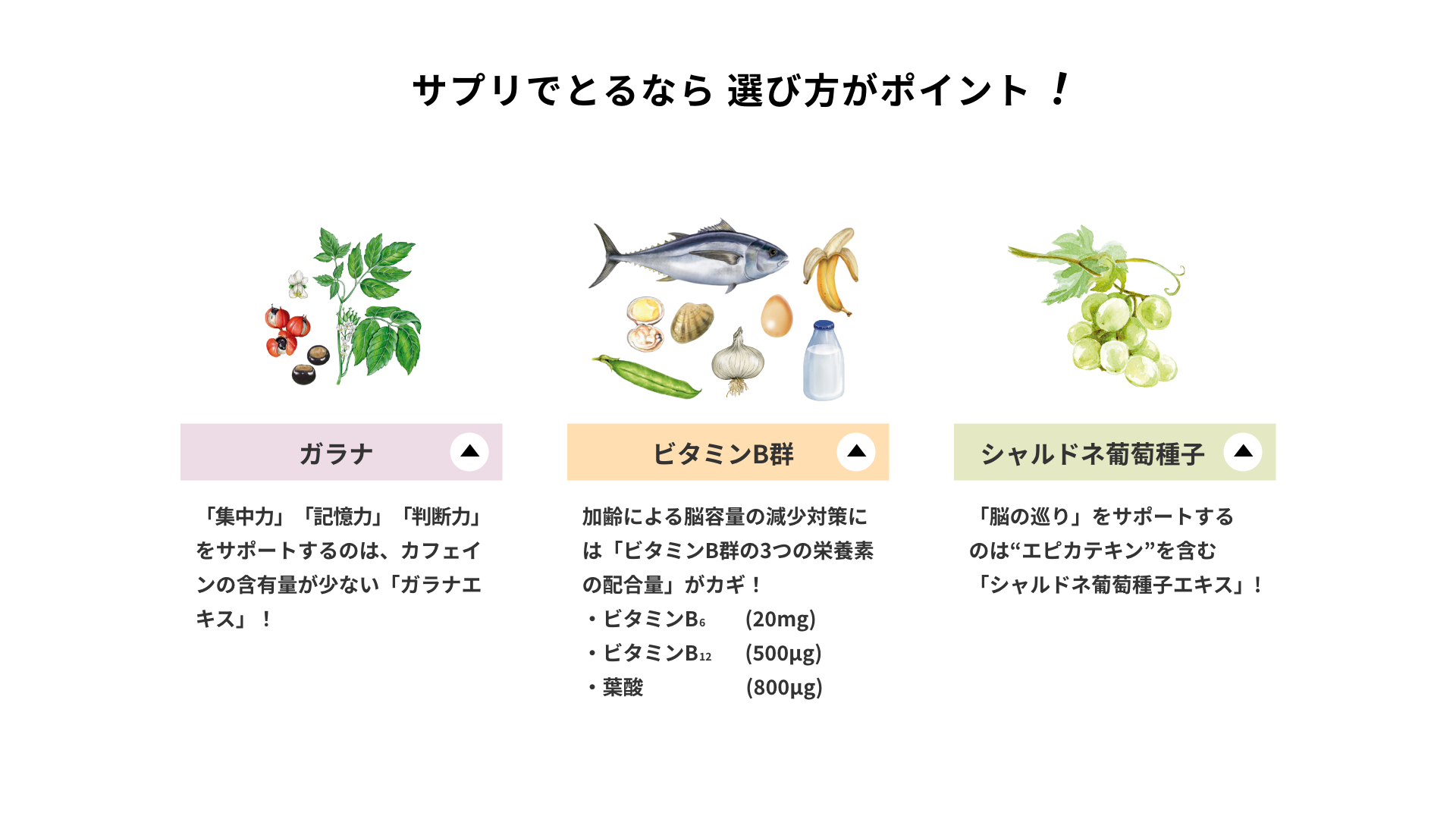 サプリでとるなら、選び方がポイント　